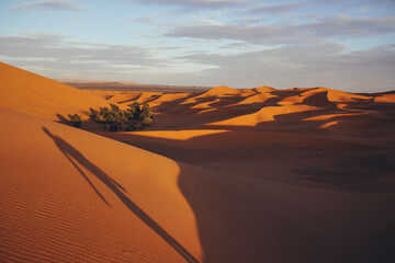 Obraz na płótnie Canvas Hiking and camel rifing in the highest dunes of Erg Chebbi, Sahara desert, Morocco