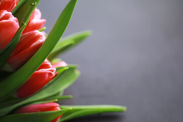 Naklejka premium Flowers, spring holidays and home decor concept - Bouquet of beautiful tulips, floral background