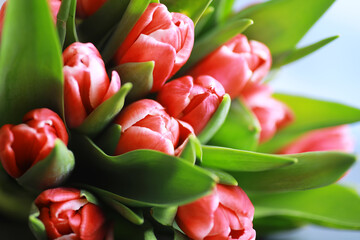 Flowers, spring holidays and home decor concept - Bouquet of beautiful tulips, floral background