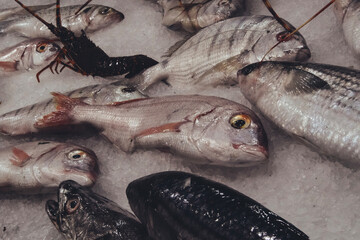 Fish market and its restaurants in Agadir, Morocco