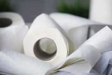 Toilet paper in a roll. Snow-white soft three-layer toilet paper. Lack of hygiene products. Primary protection and disinfection.