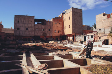 Traditional craft in Morocco, dying leather in tanneries of Marrakech