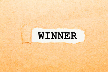 text INCLUSION on a torn piece of paper, business concept