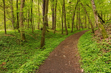 Fototapeta na wymiar Hiking track in nature park at Skryje,Central Bohemia,Czech republic,Europe 