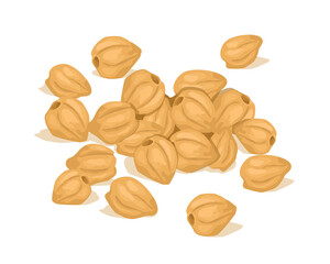 Candlenut for ingredient cooking. Candlenut vector design