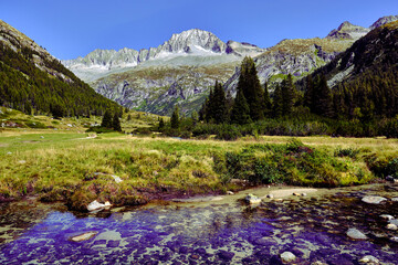 Magic montain river with summer mountains in Val di Fumo, in Adamello-Brenta National park. Blue sky upon a beautiful italian Dolomites mountains landscape with forest. Italian tourism