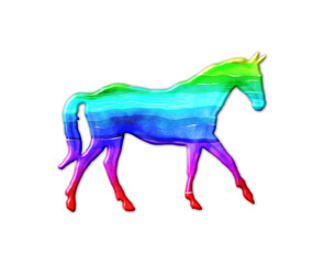 horse Pony LGBT Gay Flag Color illustration