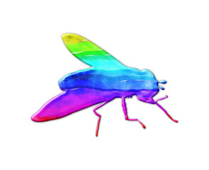 Fly LGBT Gay Flag Color illustration