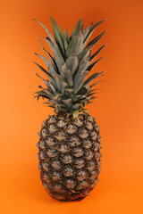 .A pineapple