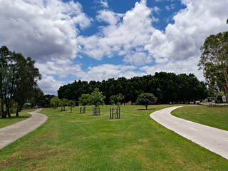 Fototapeta premium Beautiful view of a park with double trail, cycling and walking trail running along side by side, Rydalmere, Sydney, New South Wales, Australia 