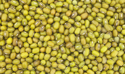 Mung bean background