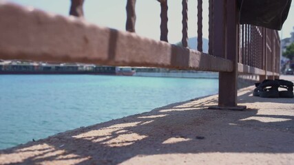 Big slimy octopus slithering at stone pier surface and falling to sea water. Concept fishing.