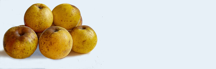 Pommes Reinette d'Armorique en gros plan sur fond blanc et espace texte