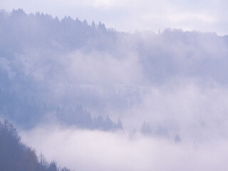 Carpatian mountains at the fog