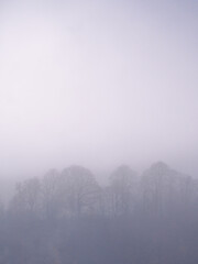 Naklejka premium Carpatian mountains at the fog
