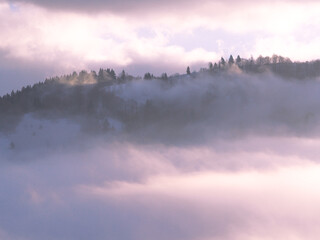 Carpatian mountains at the fog