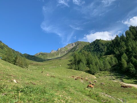 Zintberg Proxen &uuml;ber Schwaz im Inntal unterhalb vom Kellerjoch in den Tuxer Alpen