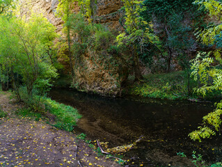 Autumn landscape with river carrying fallen leaves, golden and green trees and reflections in the water.
