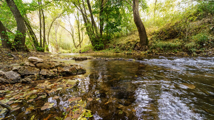 Autumn landscape with river carrying fallen leaves, golden and green trees and reflections in the...