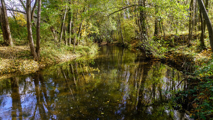 Fototapeta na wymiar Autumn landscape with river carrying fallen leaves, golden and green trees and reflections in the water. 