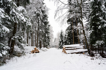 Winterwald