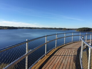 Obraz premium forest lake in summer at sunset, early morning