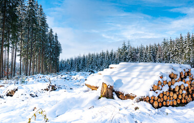 Holzstapel im Winterwald