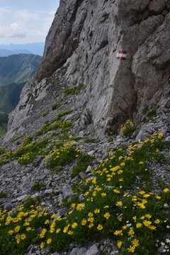Dolomiti - sentiero marcato