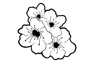 Doodle black line cherry blossom, sakura flower on white background. Vector illustration for decorate logo, wedding, greeting cards and any design.