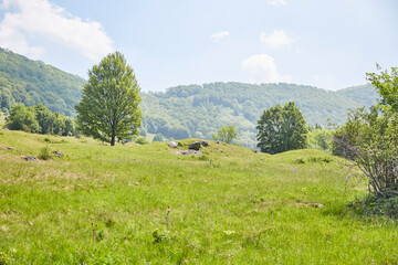 Obraz premium Schwäbische Alb (Swabian Alb) near Stuttgart – Germany, Beautiful View, Hilly, Landscape, green, village, horizon, cloudscape