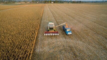 Harvesting of corn
