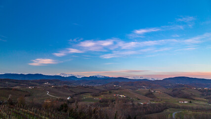 Winter sunset in the vineyards of Collio Friulano
