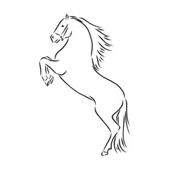 Obraz na płótnie Canvas Beautiful jumping horse black and white vector outline. beautiful horse vector sketch illustration