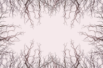 Cadre silhouettes de branches mortes