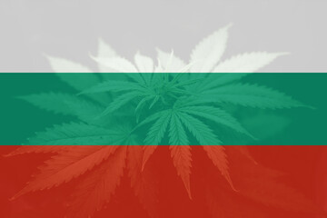 Decriminalization in Bulgaria. Medical cannabis in the Bulgaria. leaf of cannabis marijuana on the...