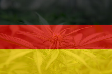 Medical cannabis in the Germany. leaf of cannabis marijuana on the flag of Germany. Weed...