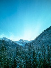 Fantastic mountain winter landscape with green snow covered fir trees and turquoise sky - 401640339