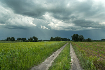 Sandy road through green fields and rainy sky