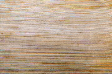 背景素材　竹の皮の模様　裏