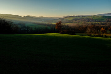 Beautiful light