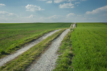 Fototapeta na wymiar Rural road through a green field on a hill