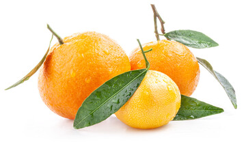 Tangerines, clementines with green leaves and water drops isolated on white background