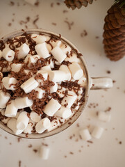 A cup of cocoa with marshmallows on the background of fir branches with cones in a vase and a burning candle on a light background in the morning light