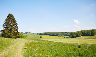 Schwäbische Alb (Swabian Alb) near Stuttgart – Germany, Beautiful View, Hilly, Landscape, green,...