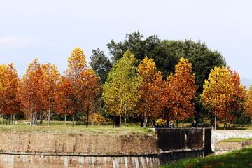 autumn in Italy