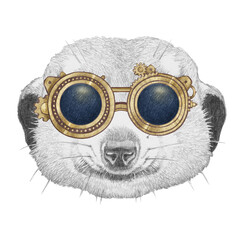 Portrait of Meerkat  with goggles. Hand-drawn illustration.