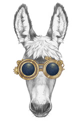 Portrait of Donkey with goggles. Hand-drawn illustration.