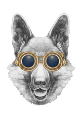 Portrait of German Shepherd with goggles. Hand-drawn illustration.