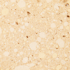 Beige Granite Stone Texture. High resolution background. The background is suitable for design and 3D graphics