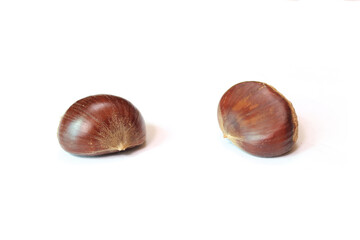 brown chestnut isolated white background.